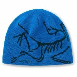 Kjøpe ⌛ Herre ArcTeryx Bird Head Toque (Fluidity/Labyrinth) 🧨
